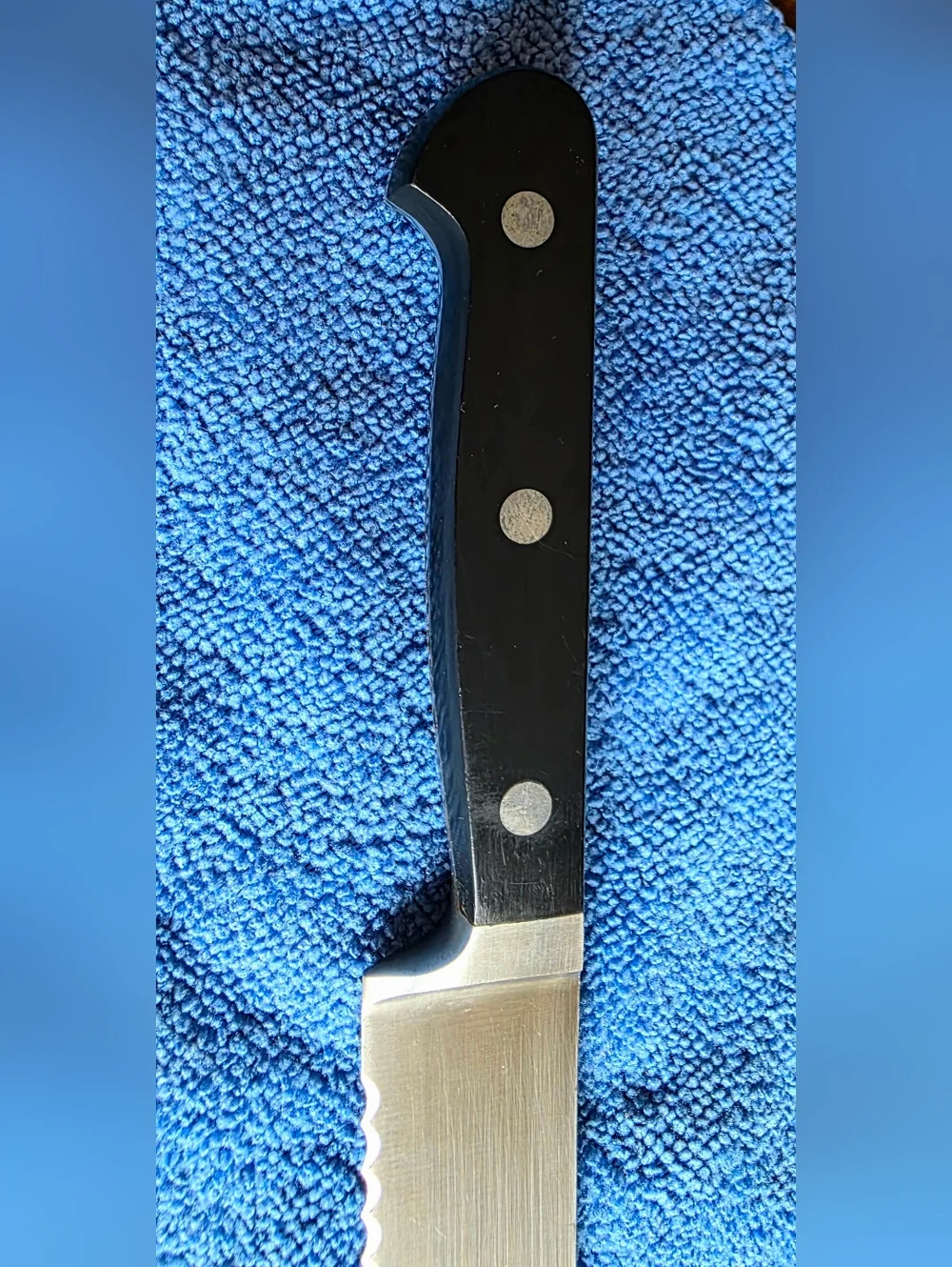 Zwilling J.A. Henckels International 7” Serrated Utility Knife – Spain – No Stai